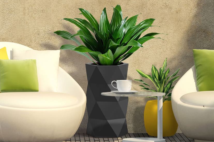 How to Convert a Small Space into a Beautiful Garden?