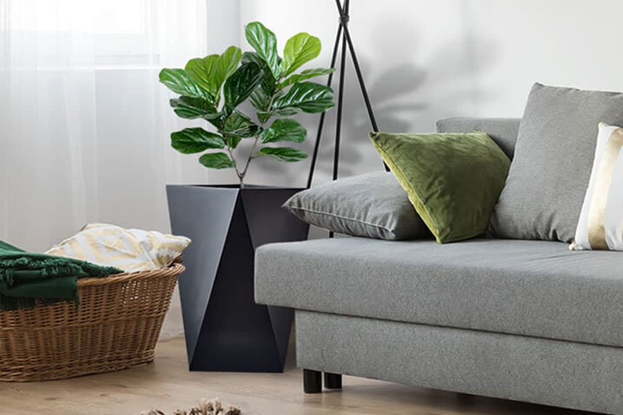 Dress Your Living Room with Designer Indoor Planters