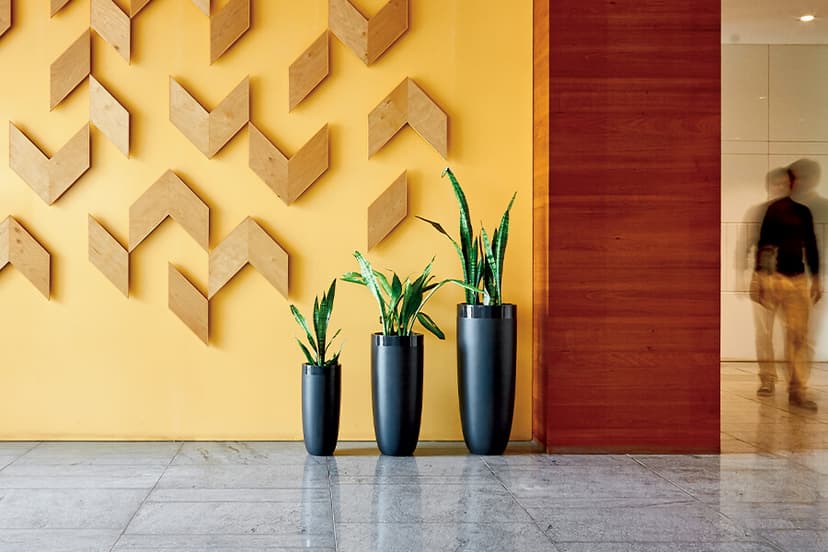 Use indoor flower pots to spruce up your home decor; here's how