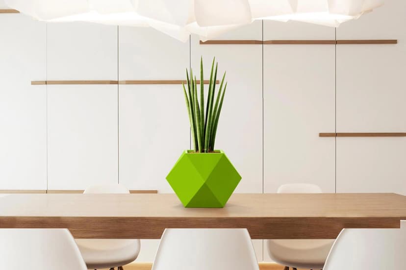 Mother's day 2021 gifting guide