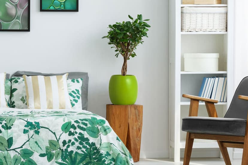 Best ways to decorate your bedroom interiors