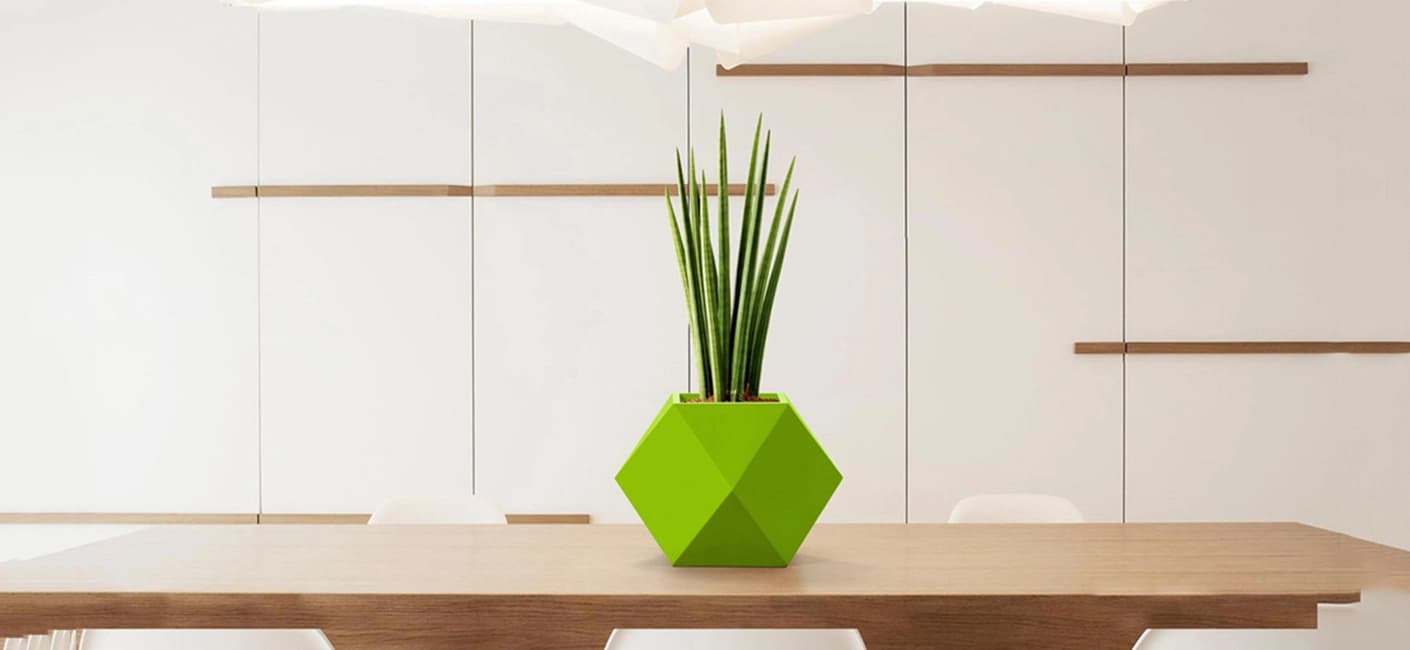 Mother's day 2021 gifting guide