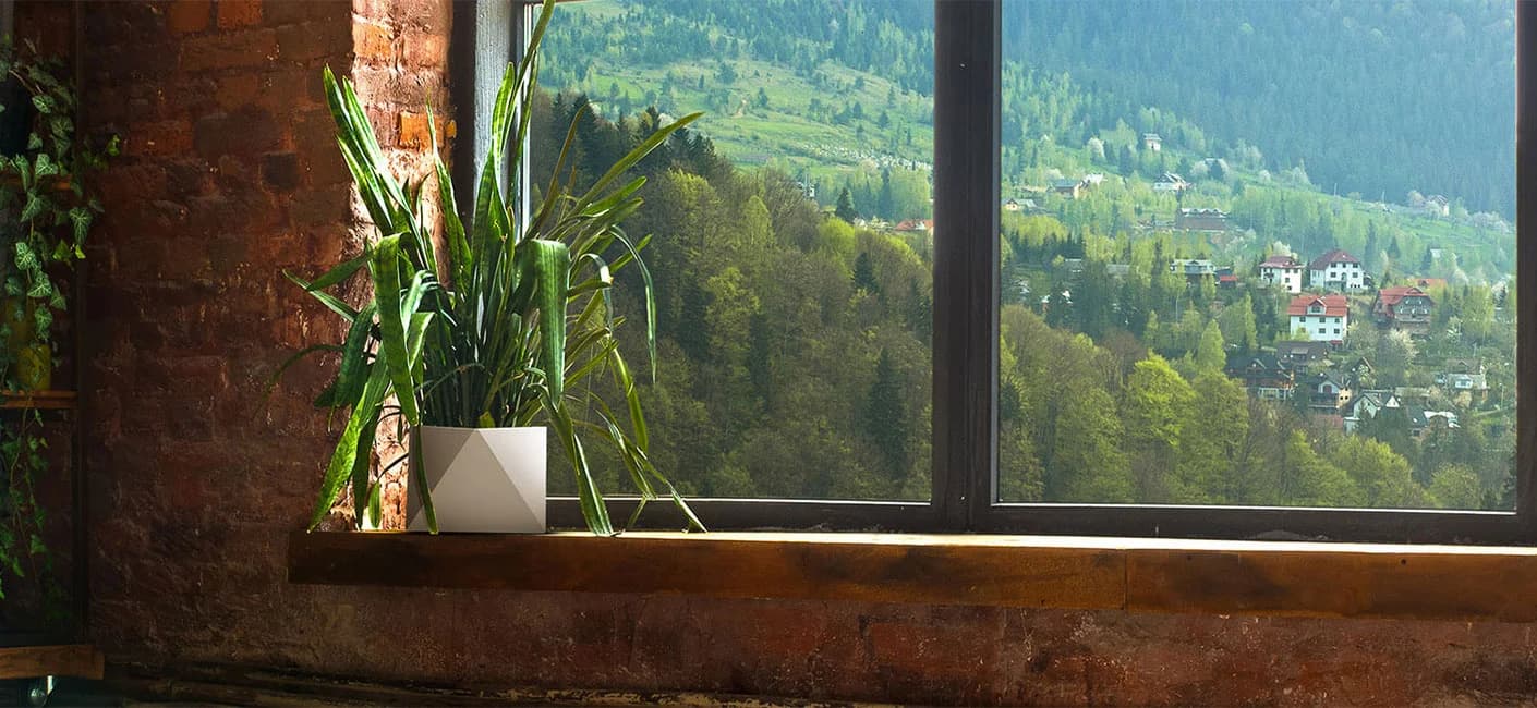 6 Indoor Gardening Tips You Cannot Afford To Miss