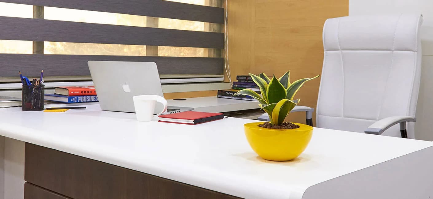 Best Ways to Use Planters for Corporate Spaces