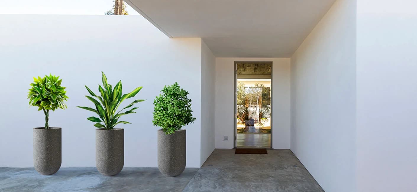 How can Bonasila’s large planters beautify your home’s entrance?