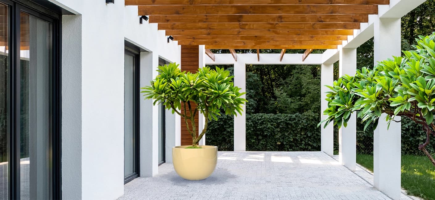 Large Planters to plant big trees outdoor