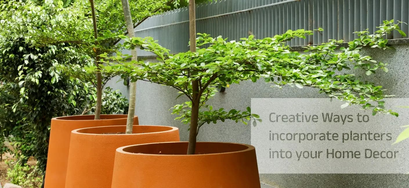 Creative Ways to Incorporate Planter