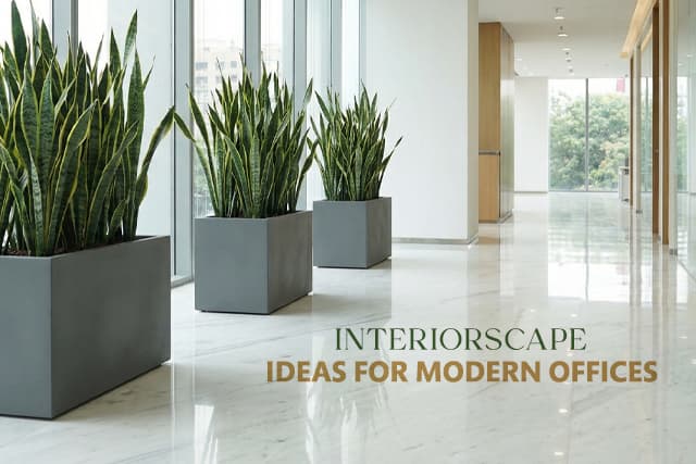 Interiorscape Hacks for Indian Homes: Save Time & Costs