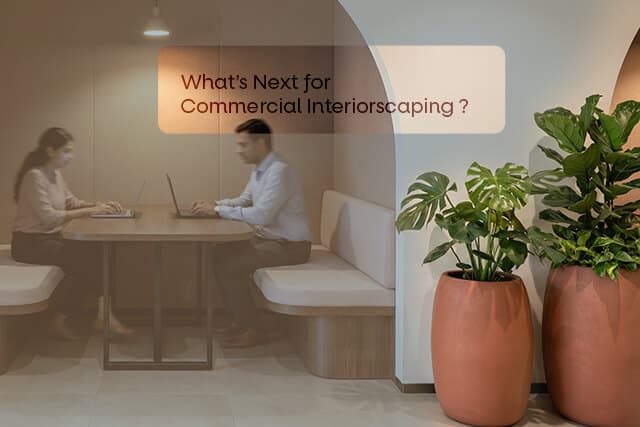 Commercial Interiorscaping