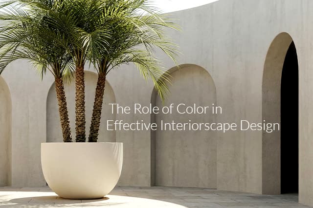 The Role of Color in Effective Interiorscape Design