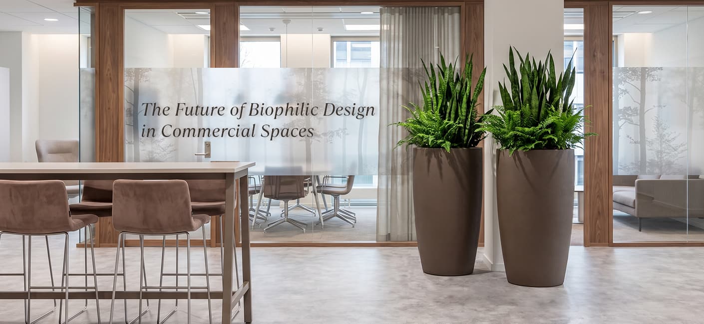 The Future of Biophilic Design in Commercial Spaces