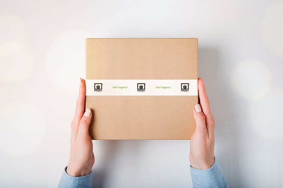 Diwali gift FRP Planters to your loved ones 123