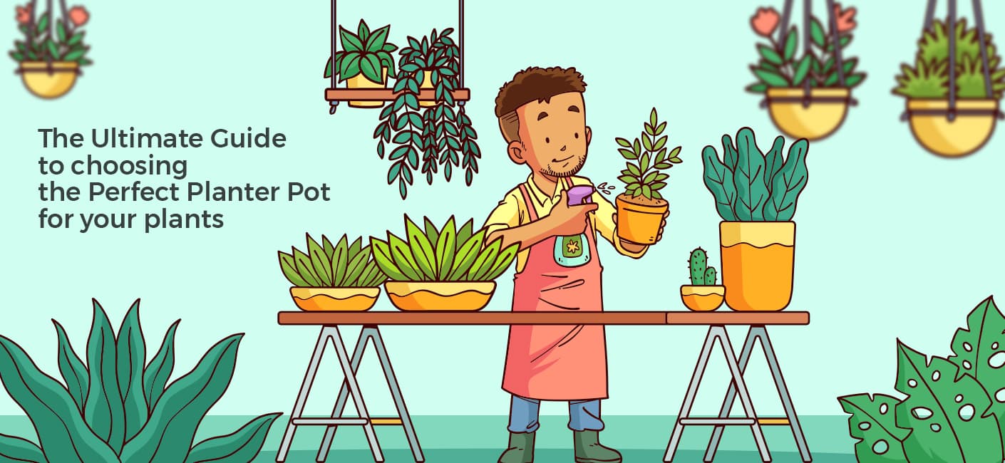 The Ultimate Guide to Choosing the Perfect Planter Pot for Your Plants
