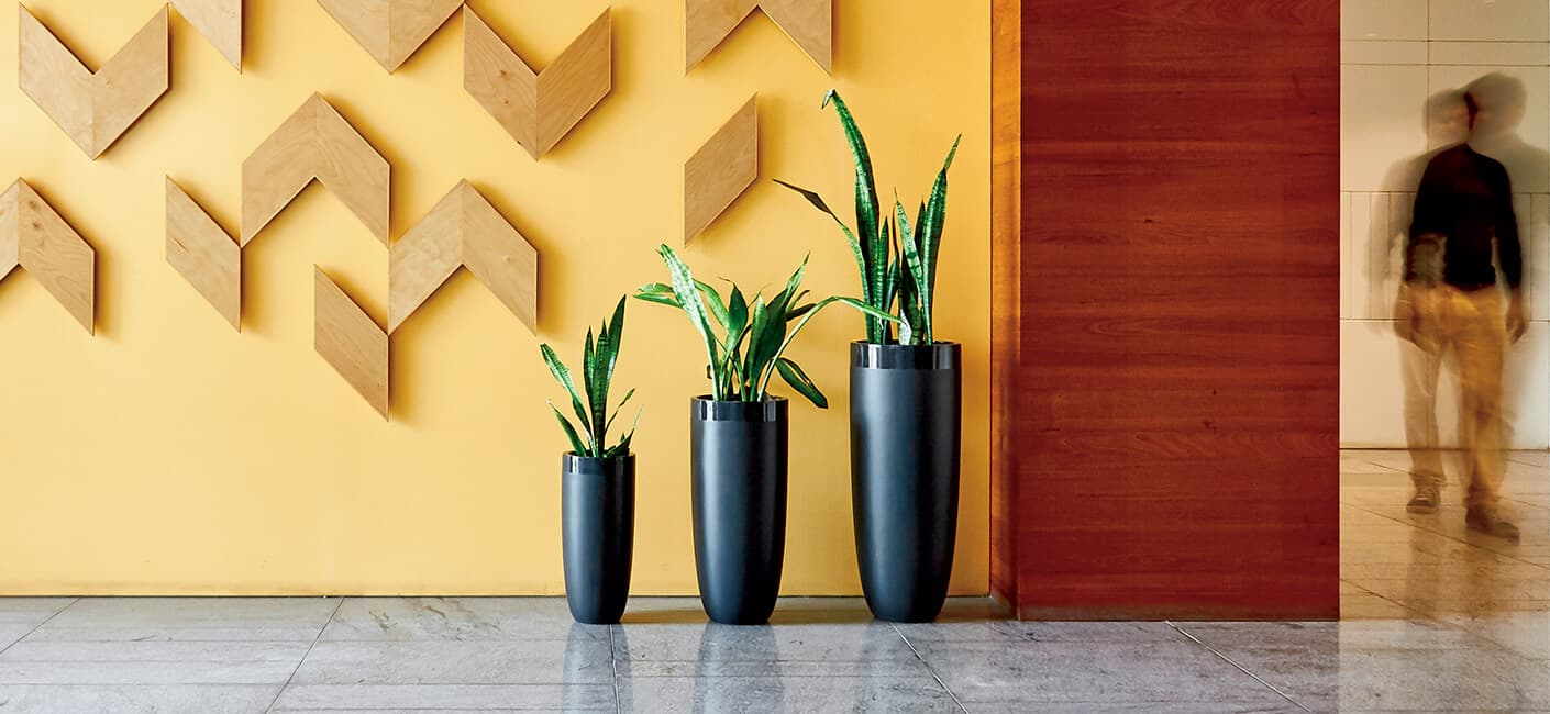 Use indoor flower pots to spruce up your home decor; here's how